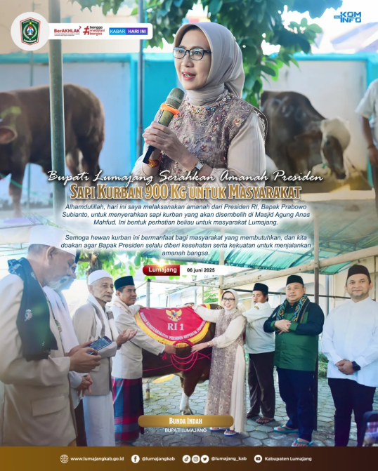  Bupati Lumajang Serahkan Amanah Presiden: Sapi Kurban 900 Kg untuk Masyarakat