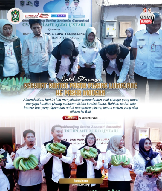 Cold Storage Perkuat Rantai Pasok Pisang Lumajang ke Pasar Modern