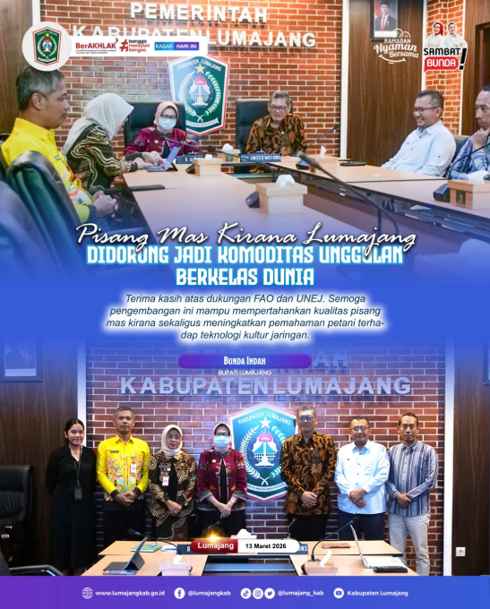 Pisang Mas Kirana Lumajang semakin diperkuat menuju komoditas berkelas dunia 